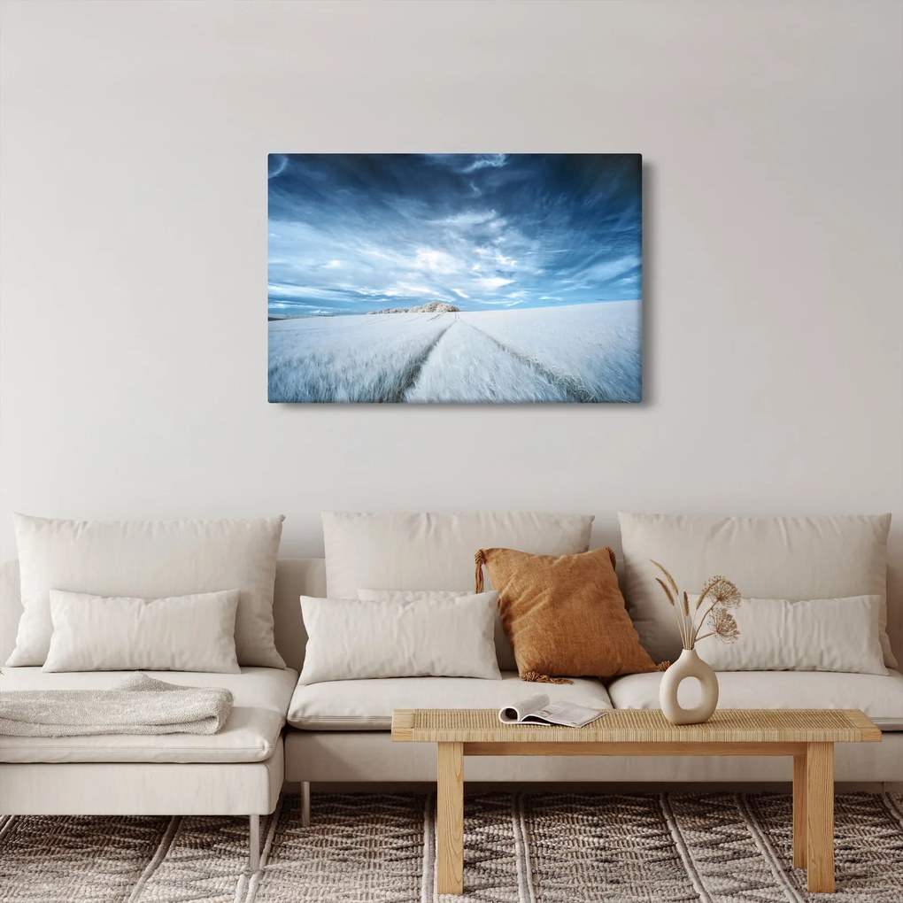 Obraz poľa (90x60 cm)