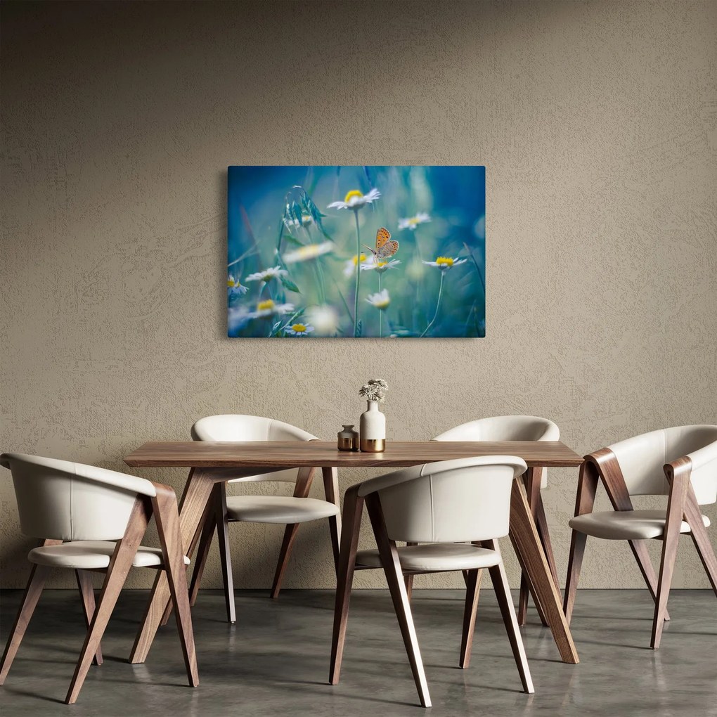 Obraz - Motýľ na sedmokráske (90x60 cm)