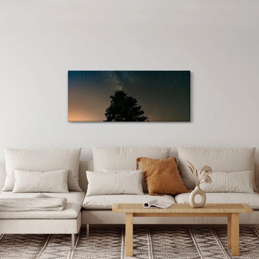 Obraz nočnej oblohy so stromami (120x50 cm)