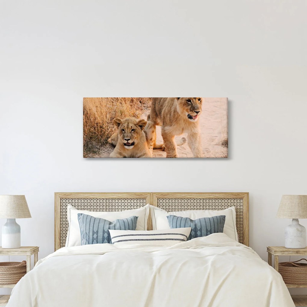 Obraz- Levíčatá (120x50 cm)