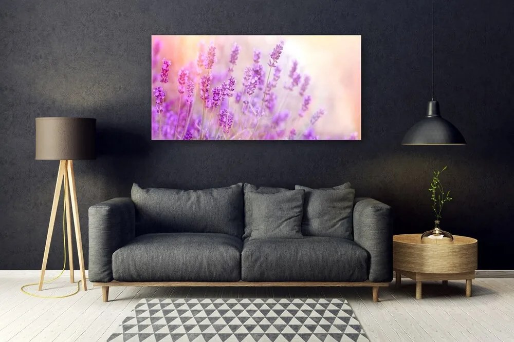 Obraz plexi Levanduľovej pole slnko kvety 120x60 cm