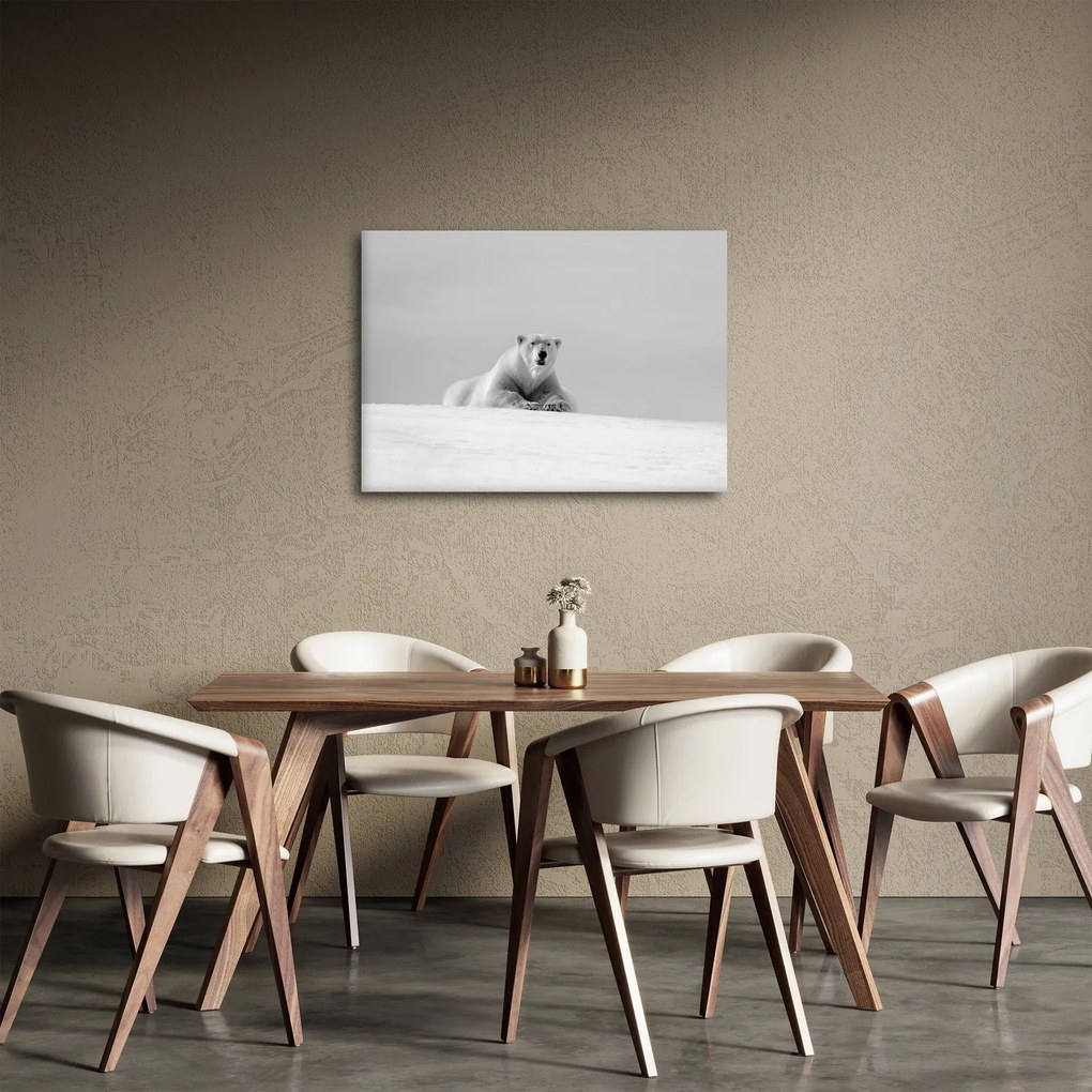 Obraz - Ľadový medveď (70x50 cm)