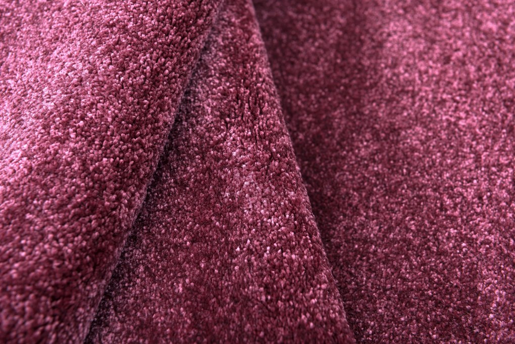 Festival, Kusový koberec Enjoy 800 Cherry, 200x290, fialová, kancelária