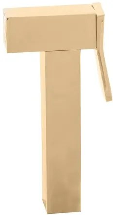 Bidetová spŕška RAV SLEZÁK se stop ventilem v zlatom prevedení KS0007Z