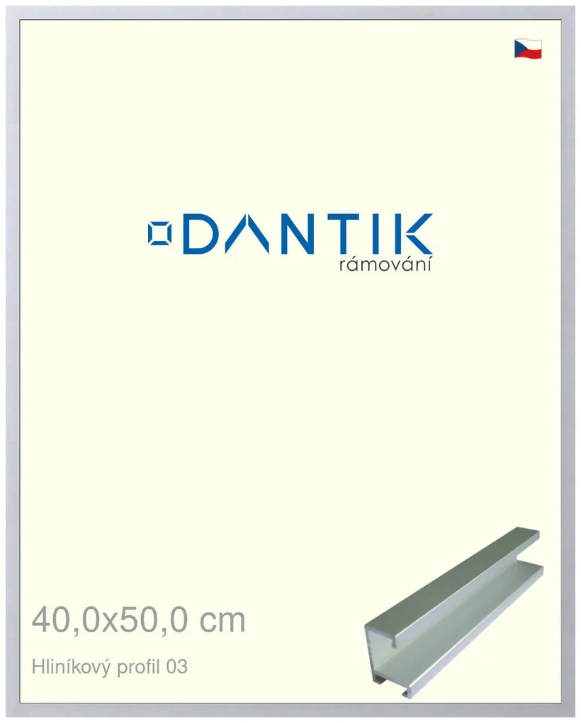 DANTIK rám na obraz 40x50 | ALU Stříbrná matná (Sklo Čiré)