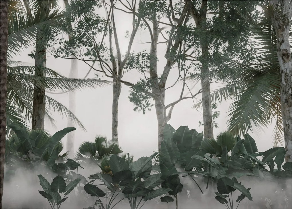 Sklenený obraz - Jungle v rannej hmle (70x50 cm)