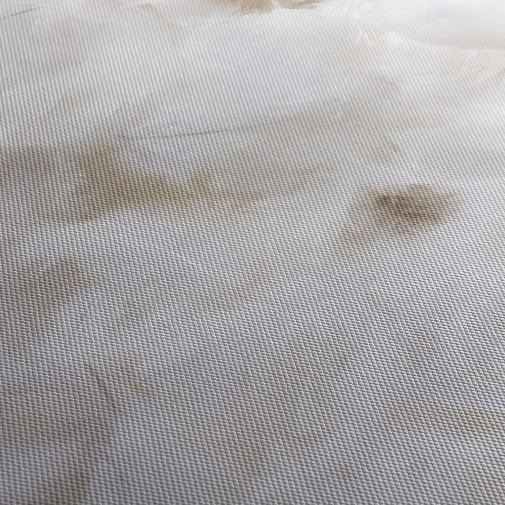 Obraz - Biele perie (120x50 cm)