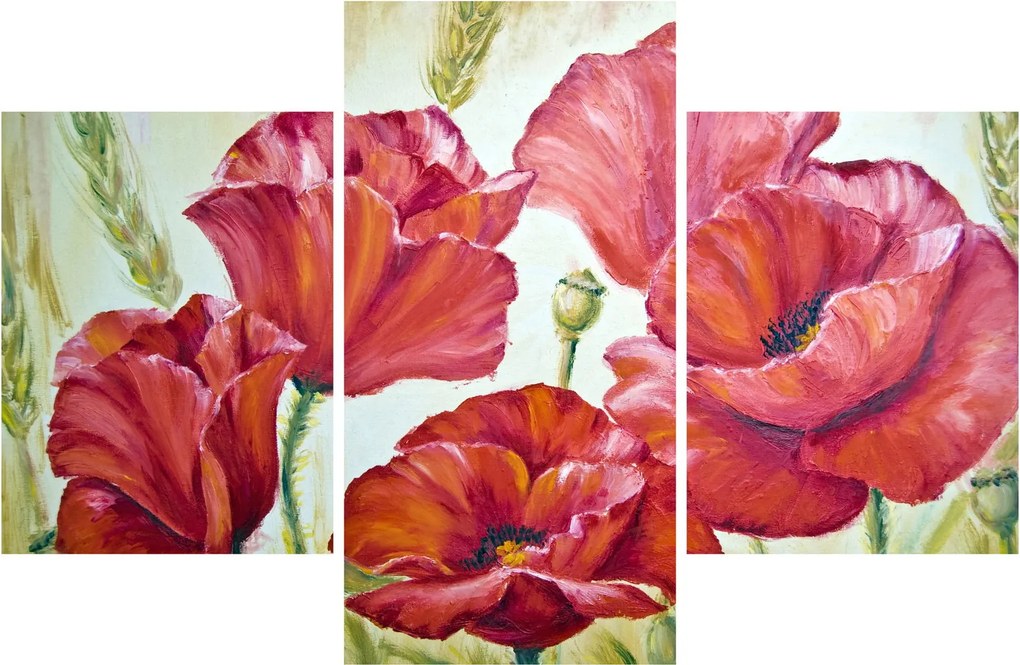 Obraz - Kvety vlčích makov (90x60 cm)