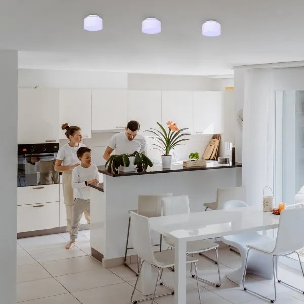 Rabalux 71325 - LED stropné svietidlo OVIDIA LED/24W/230V 3000K biela