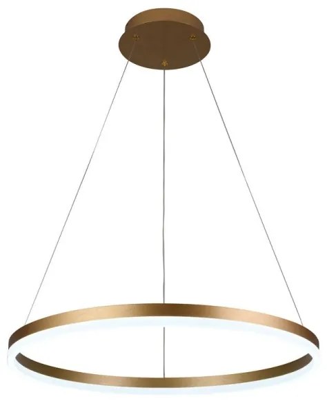 Brilagi - LED stmievateľný luster na lane CIRCLE LED/42W/230V 3000-6500K + diaľkové ovládanie