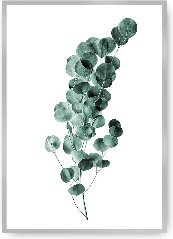 Plagát Eucalyptus Emerald Green