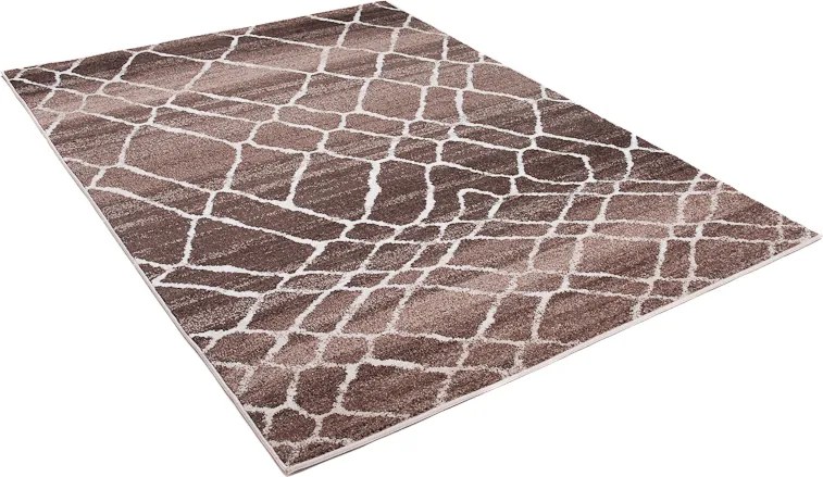 TA Koberec H072A HNEDÉ SARI BRH Rozmer: 220x320 cm
