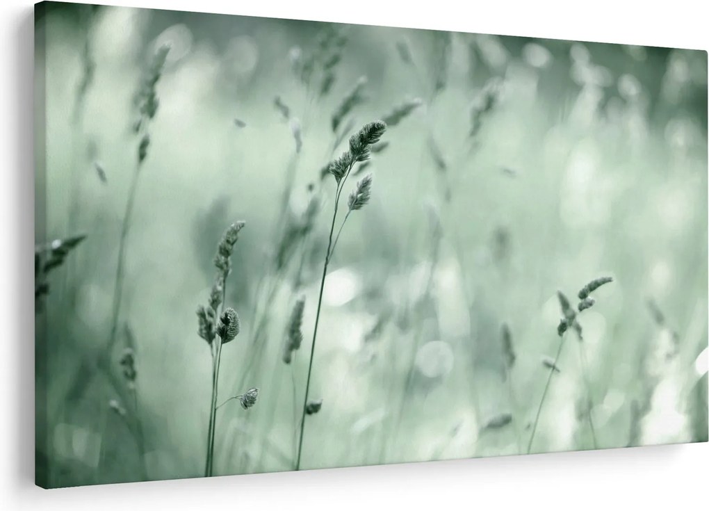 Obraz - Zelená lúka (90x60 cm)