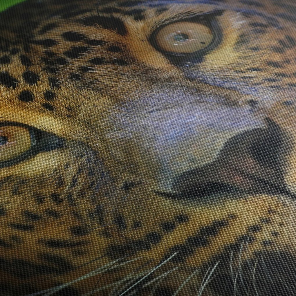 Obraz - Portrét leoparda, Sri Lanka (s hodinami) (90x30 cm)