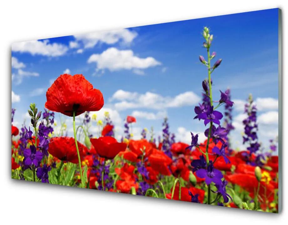 Obraz na skle Kvety 100x50cm