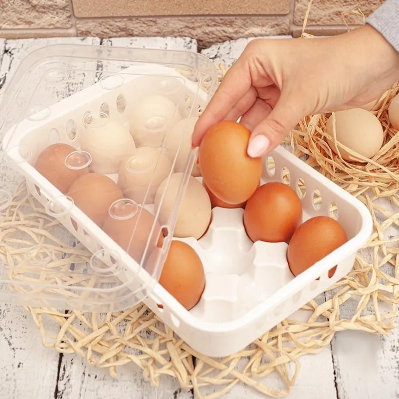 Arte Regal Box na vajíčka, obal na 15 ks vajec, biely WAPPA