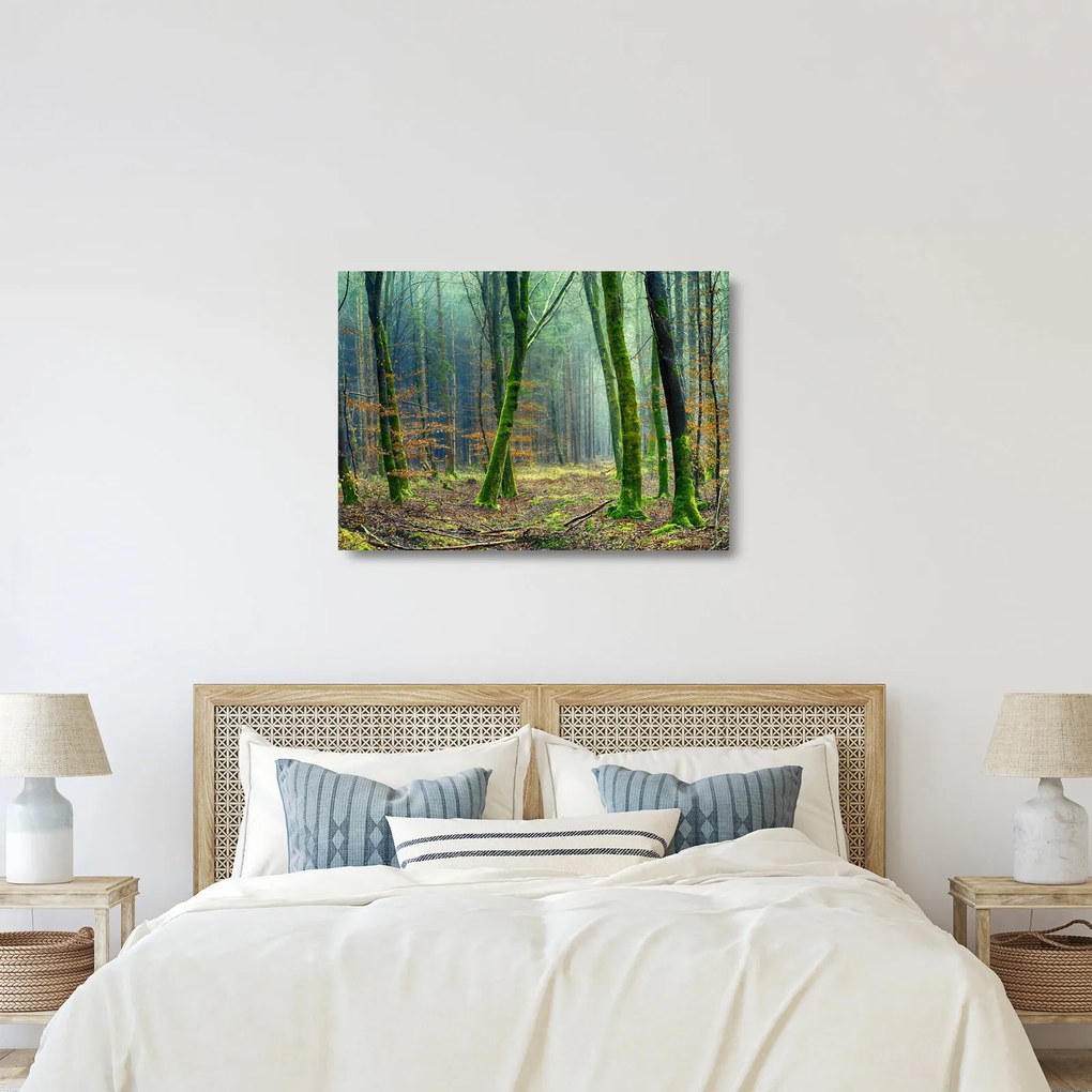 Sklenený obraz lesa (70x50 cm)