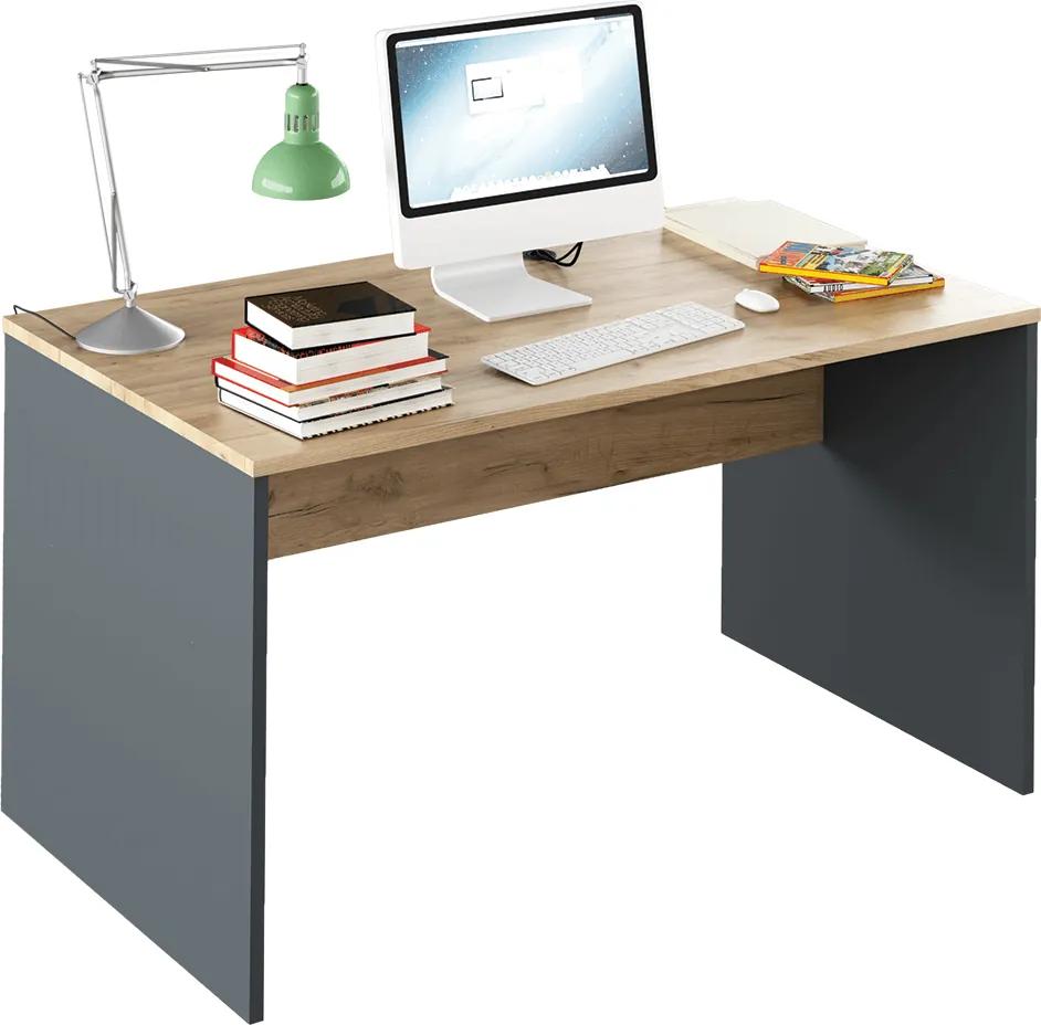 Písací stôl, grafit/dub artisan, RIOMA TYP 11