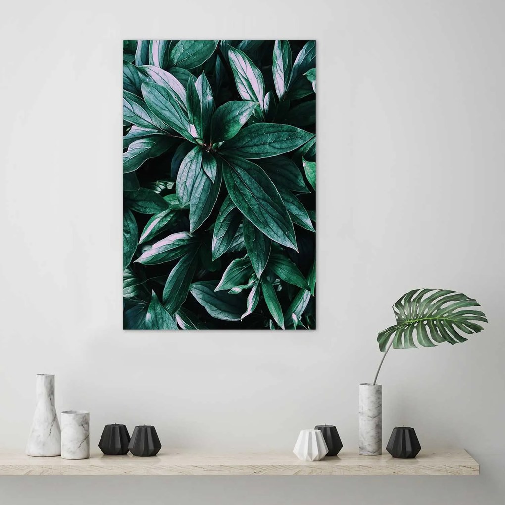 Gario Plagát Fascinujúce listy Farba rámu: Bez rámu, Rozmery: 30 x 45 cm