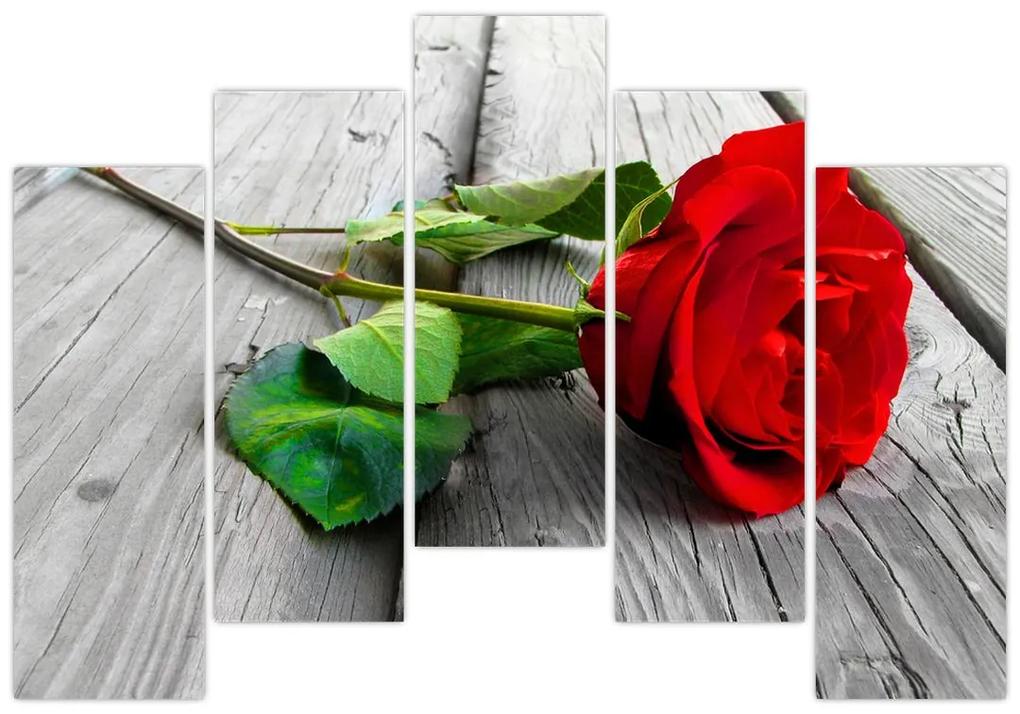 Ruža červená - obraz