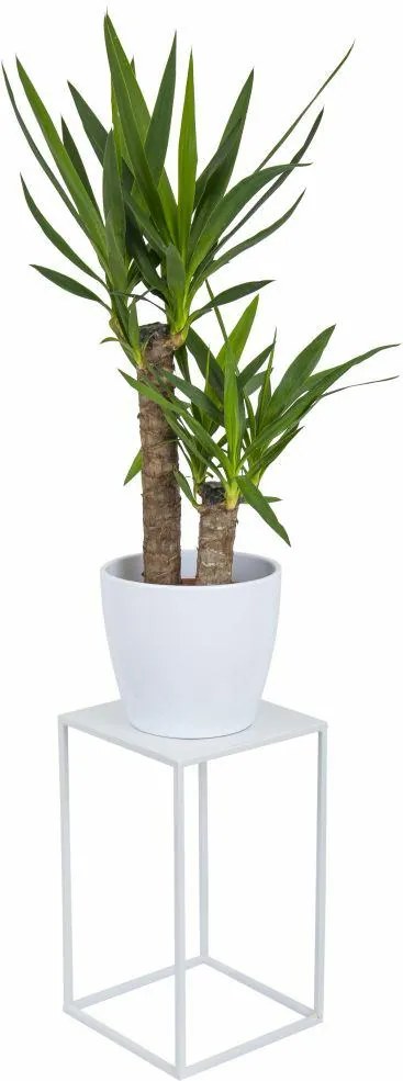 STOJAN NA KVETINÁČ SIMPLE 40X24X24 CM BIELA