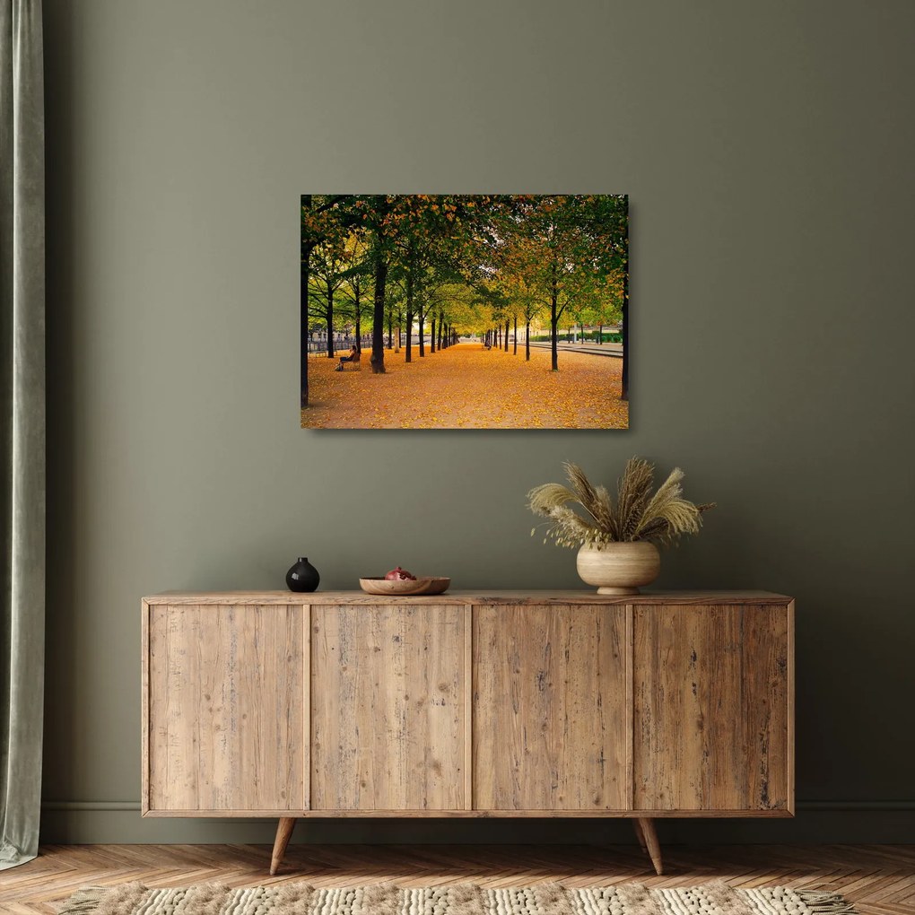 Sklenený obraz aleje jesenných stromov (70x50 cm)