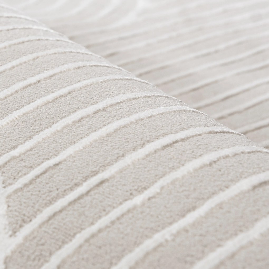 TA Koberec NG81A KRÉMOVÁ/BIELA ELLEN Rozmer: 160x230 cm