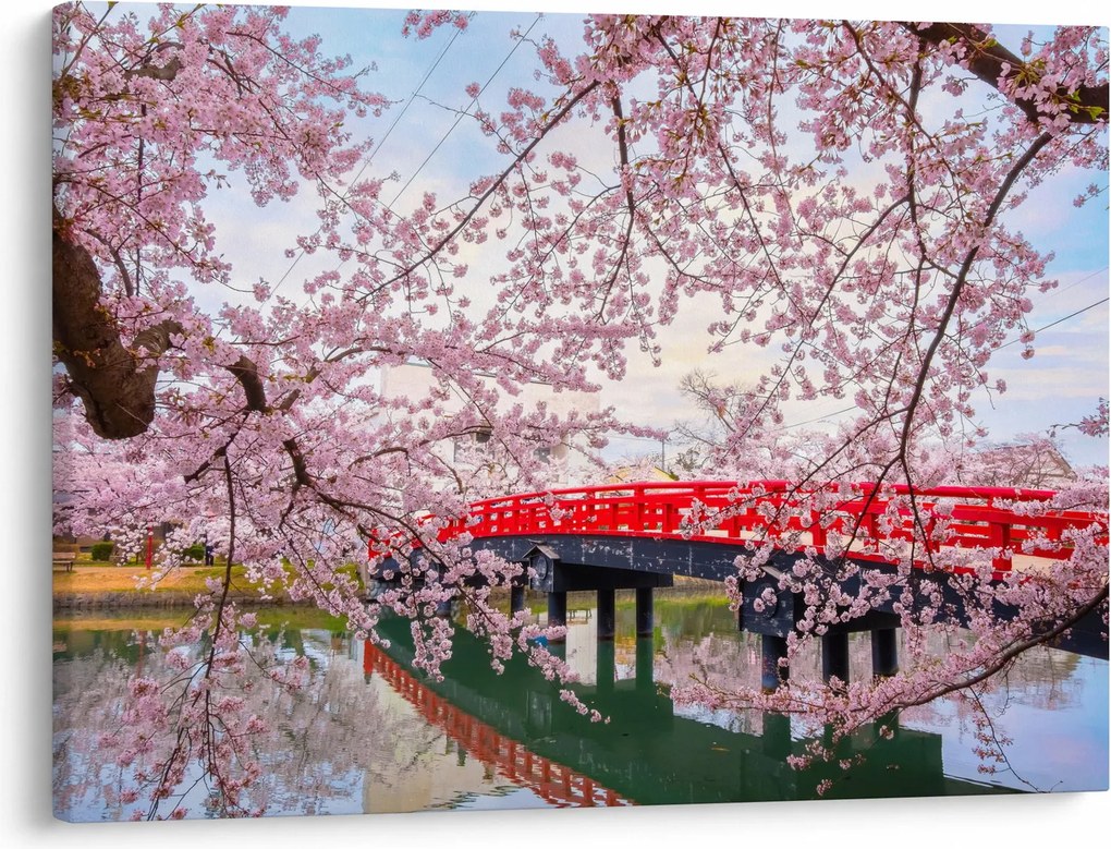 Obraz - Hirosaki, Japonsko (70x50 cm)