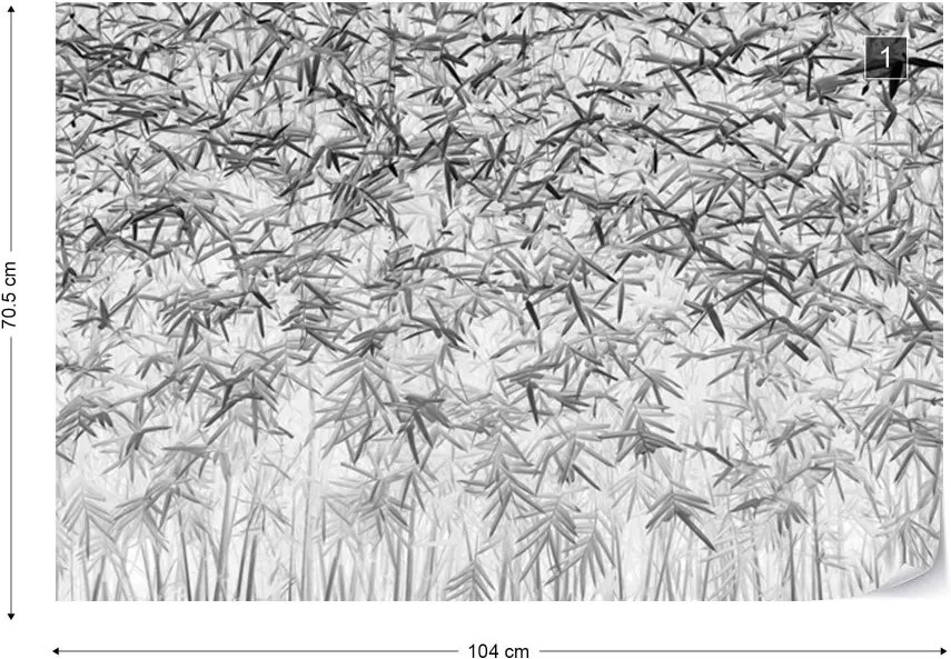 Fototapeta GLIX - Parallelism + lepidlo ZADARMO Vliesová tapeta  - 104x70 cm
