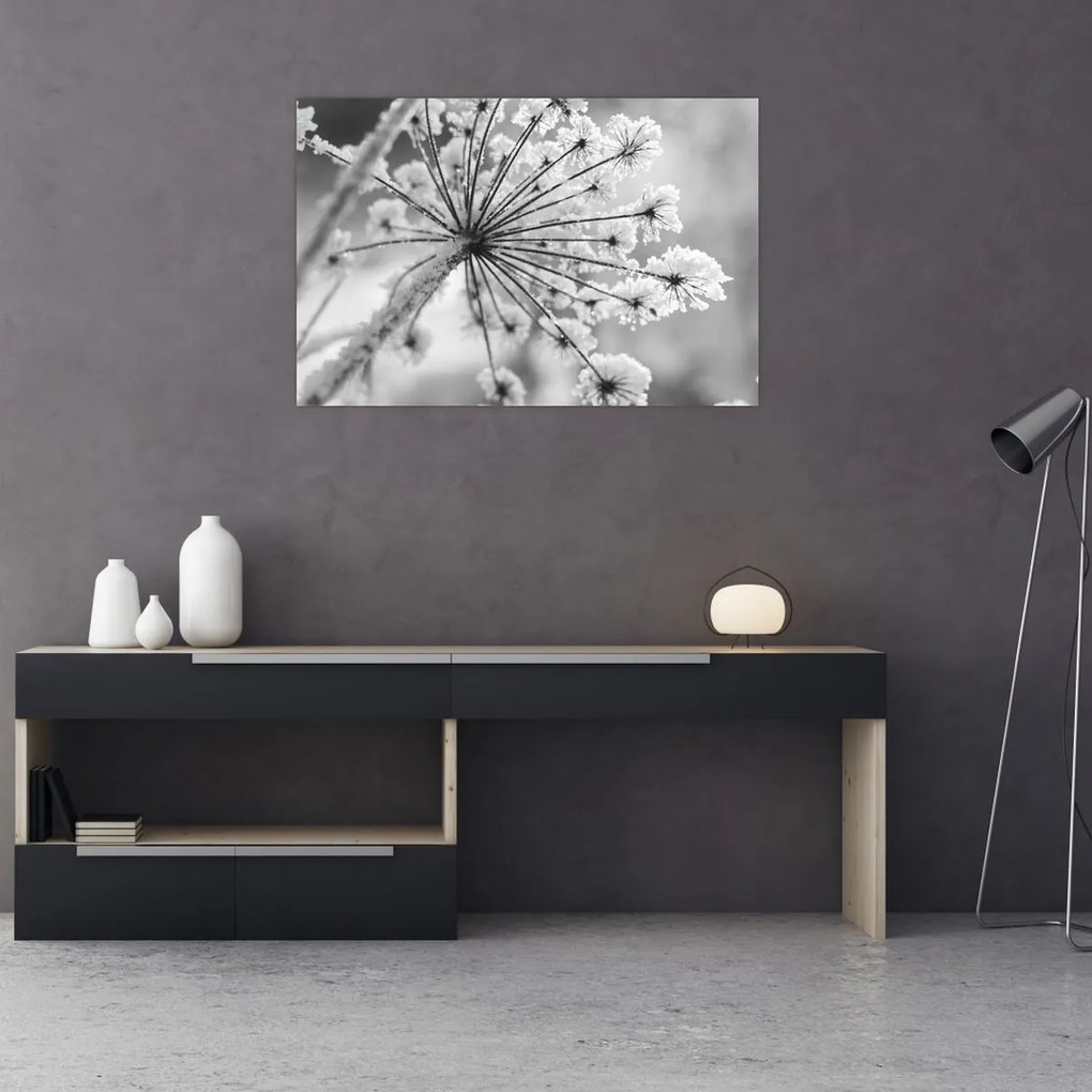 Obraz - Kvetina v zime (90x60 cm)