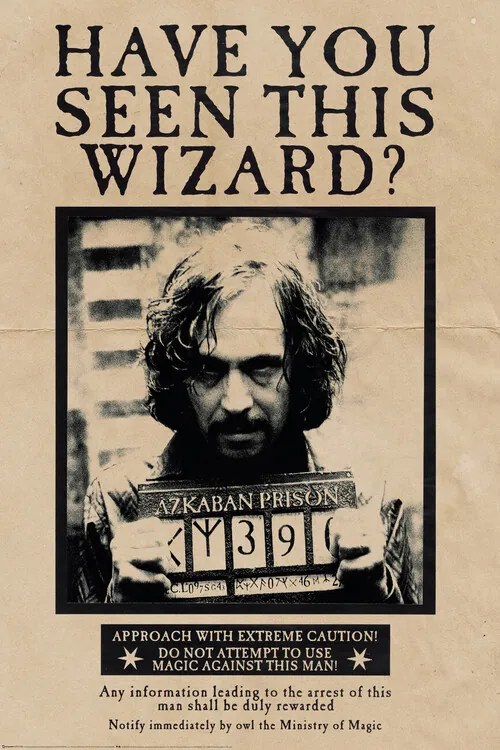 Plagát, Obraz - Harry Potter - Sirius Black, (61 x 91.5 cm)