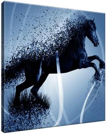Obraz na plátne Modrý kôň – Jakub Banas 30x30cm 3574A_1AI