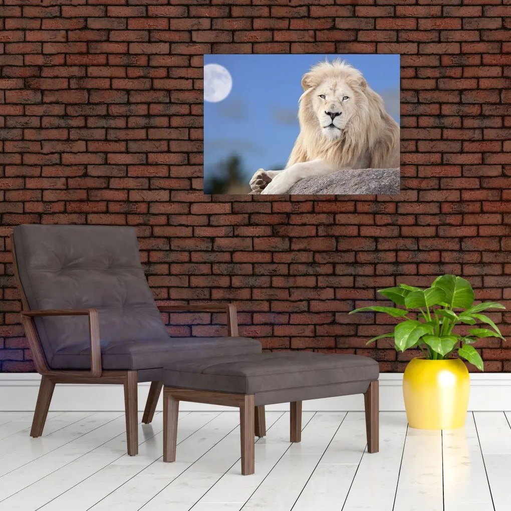 Sklenený obraz - Biely lev (70x50 cm)