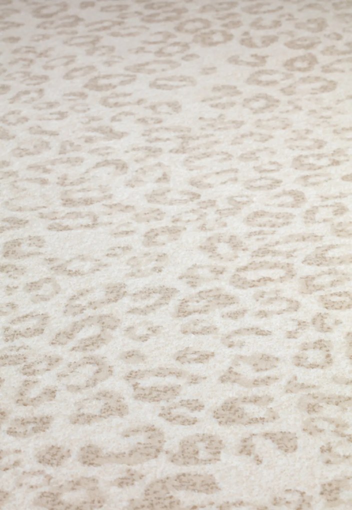 Osta, Kusový koberec Piazzo 12268 100, 135x200, biela, obývacia izba