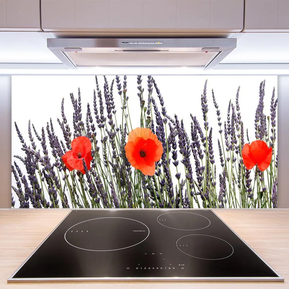 Sklenený obklad Do kuchyne Kvety maky pole trávy 140x70 cm