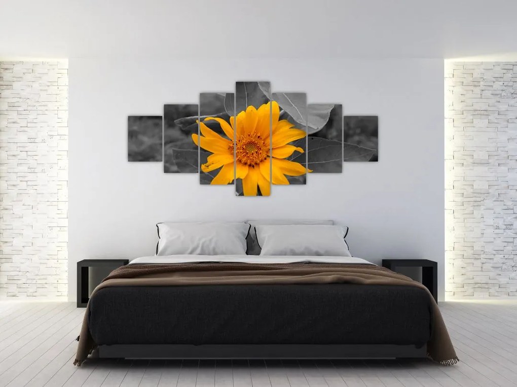 Obraz oranžového kvetu