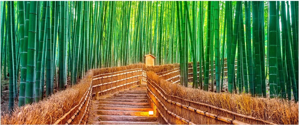 Obraz - Japonský bambusový les (120x50 cm)
