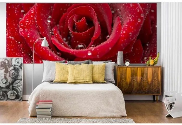 Panoramatická fototapeta - Červená ruža 375x150 + zadarmo lepidlo
