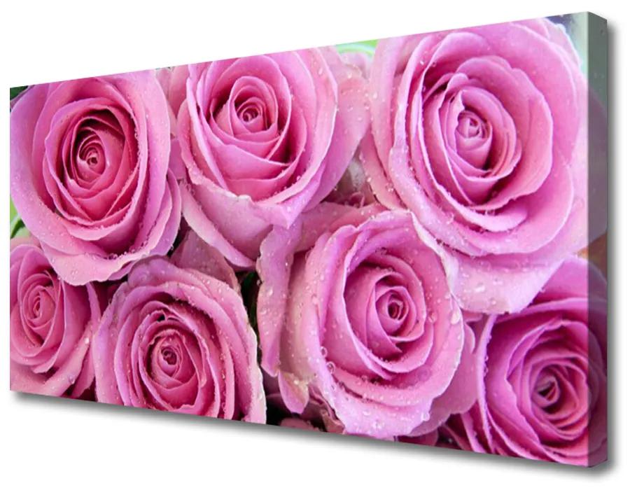 Obraz na plátne Ruže kvety rastlina 100x50 cm