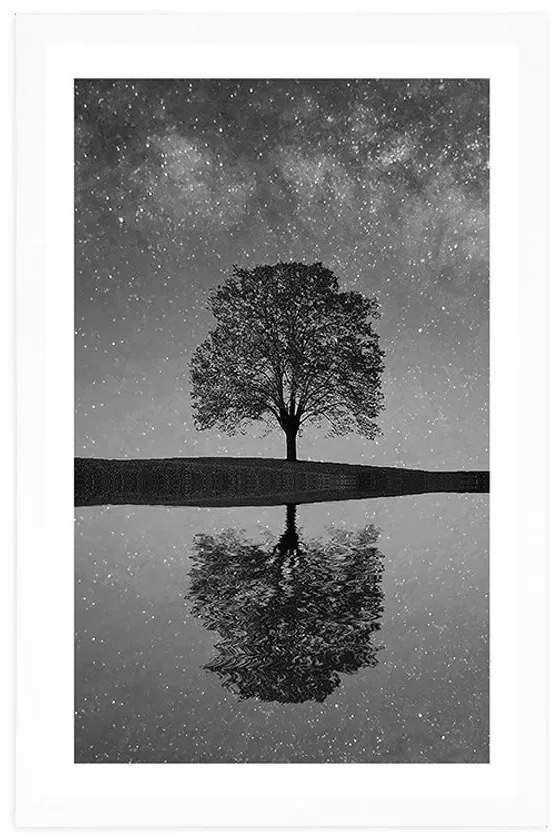 Plagát s paspartou hviezdna obloha nad osamelým stromom v čiernobielom prevedení - 30x45 black