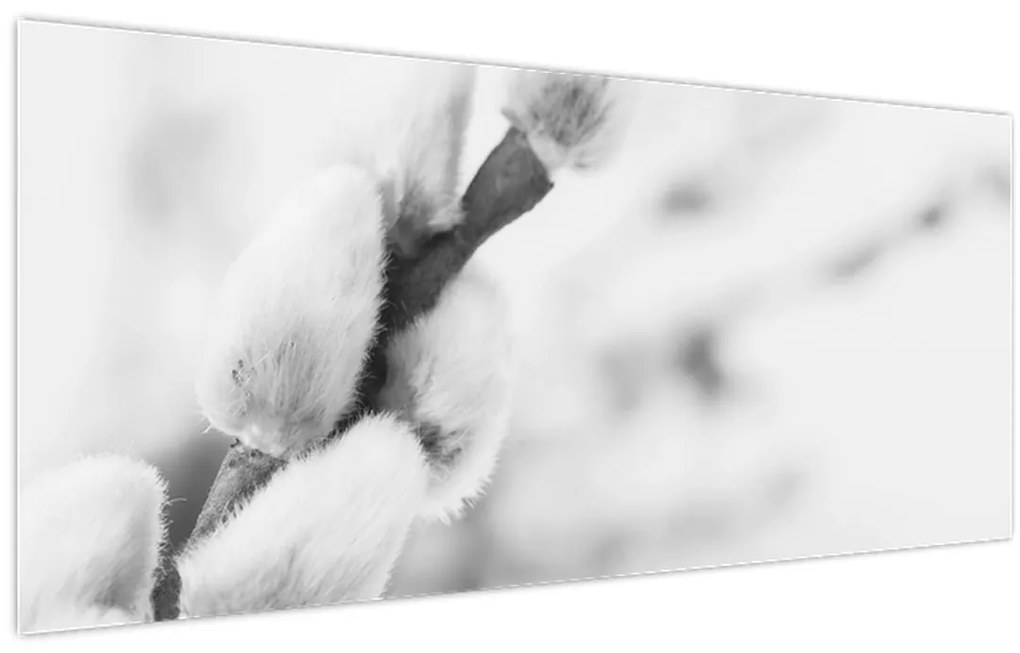 Obraz - Začiatok jari (120x50 cm)
