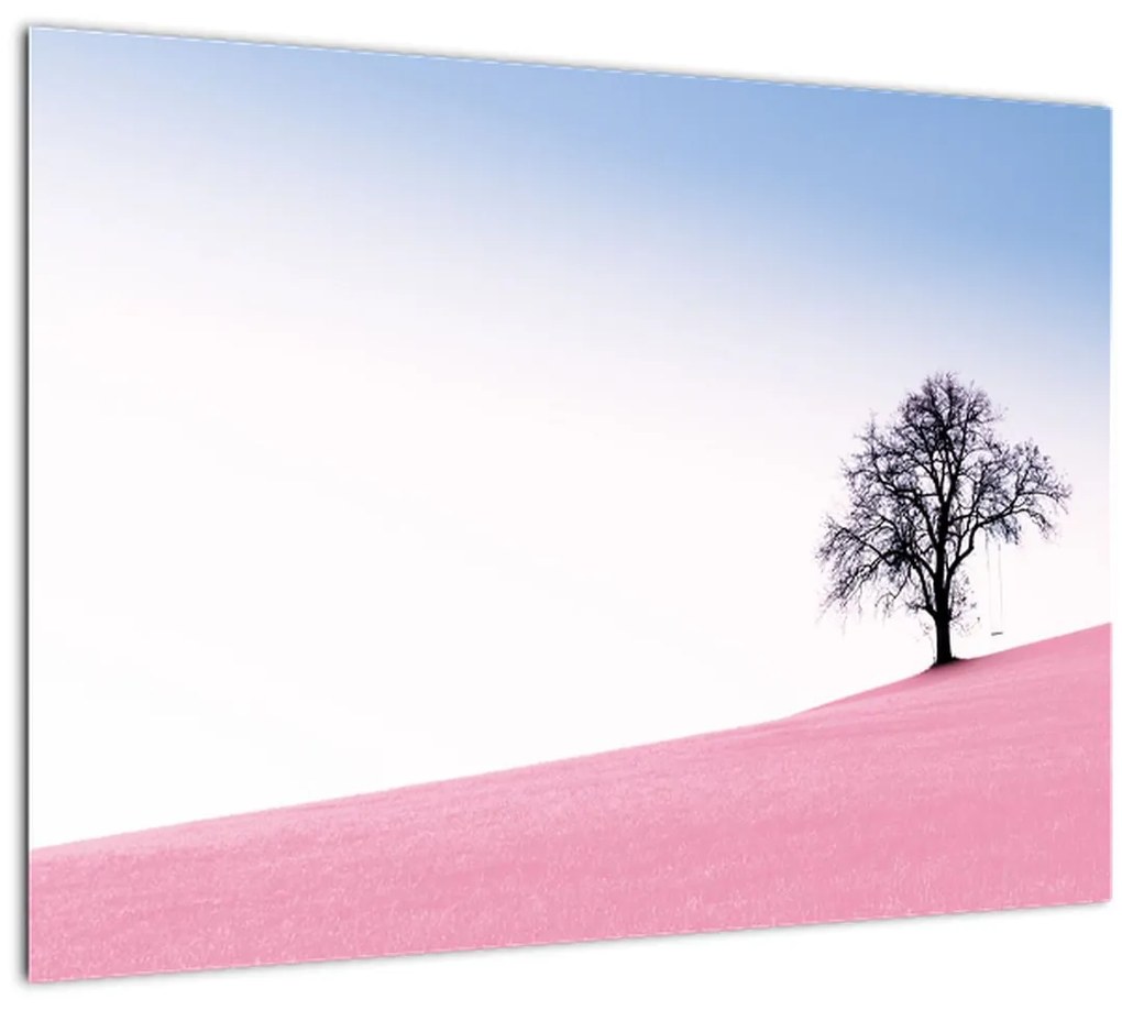 Obraz - Ružový sen (70x50 cm)