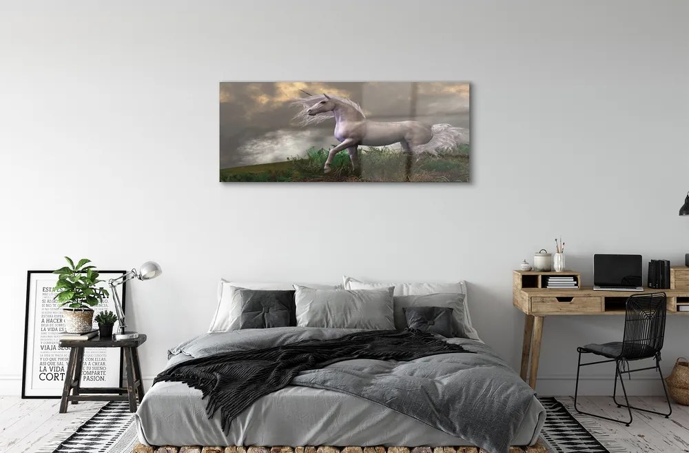 Obraz plexi Unicorn mraky 120x60 cm