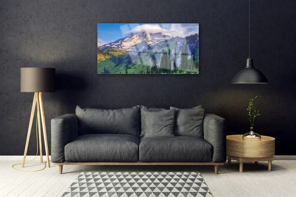 Skleneny obraz Hora les príroda 100x50 cm