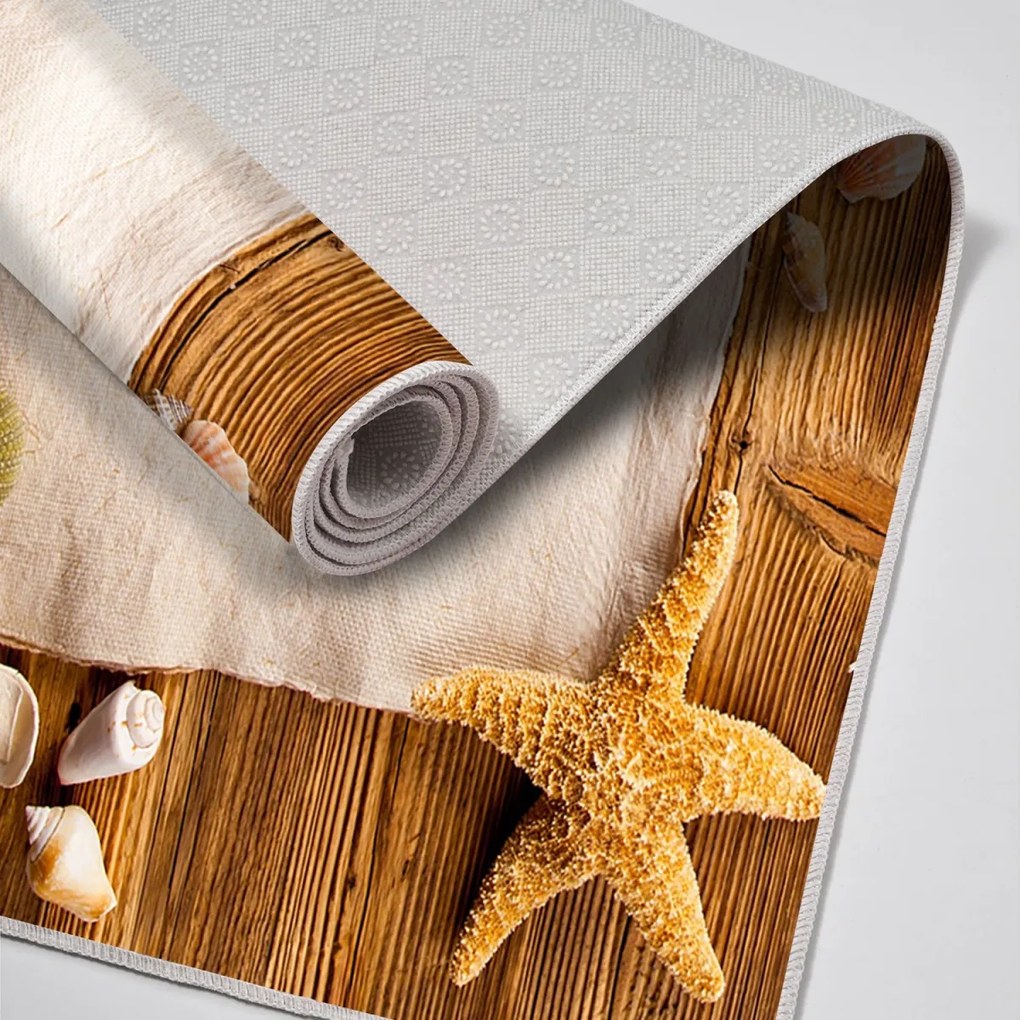 Súprava 2 kusov kúpeľňových predložiek SeaFrame hnedá