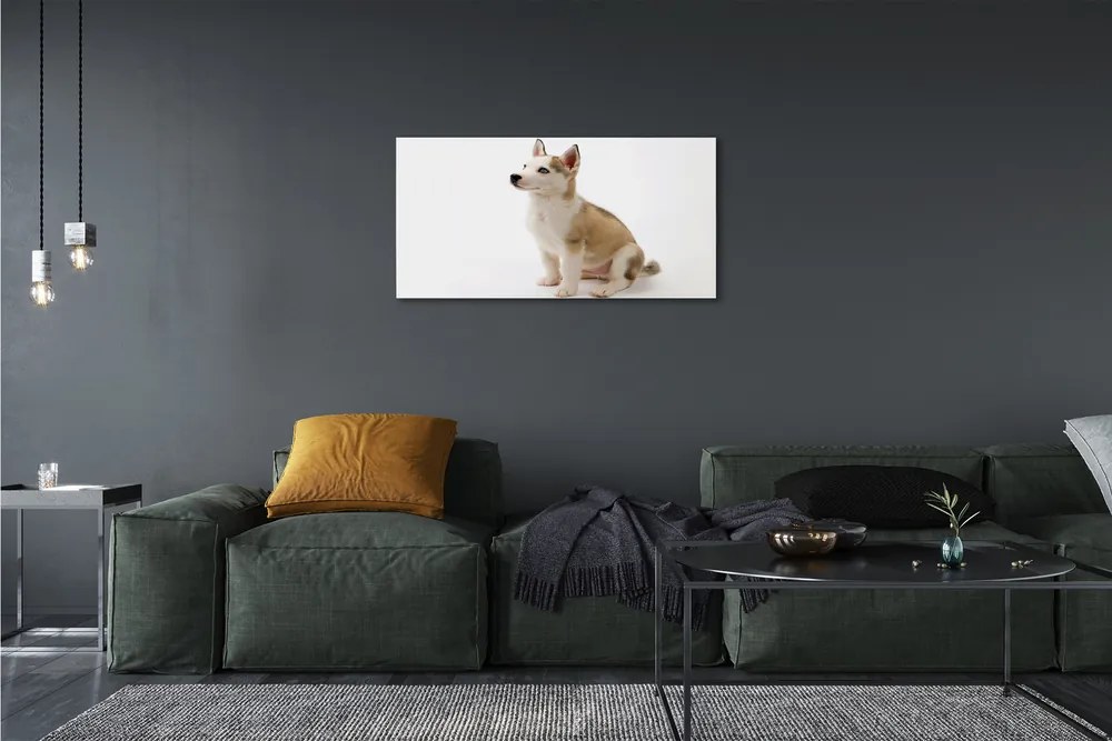 Obraz na plátne Sediaci malého psa 120x60 cm