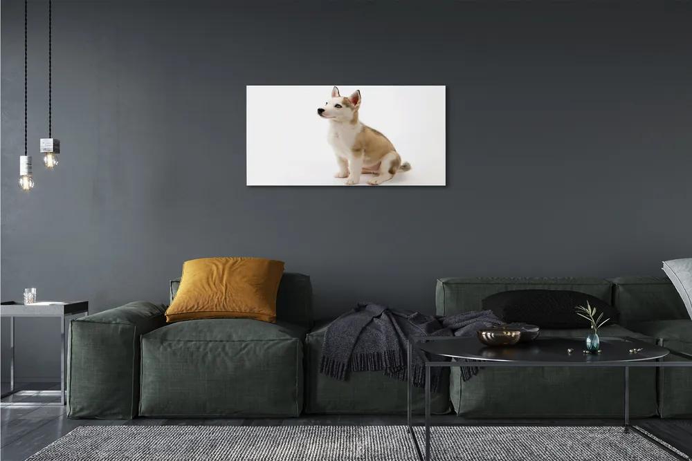 Obraz na plátne Sediaci malého psa 125x50 cm