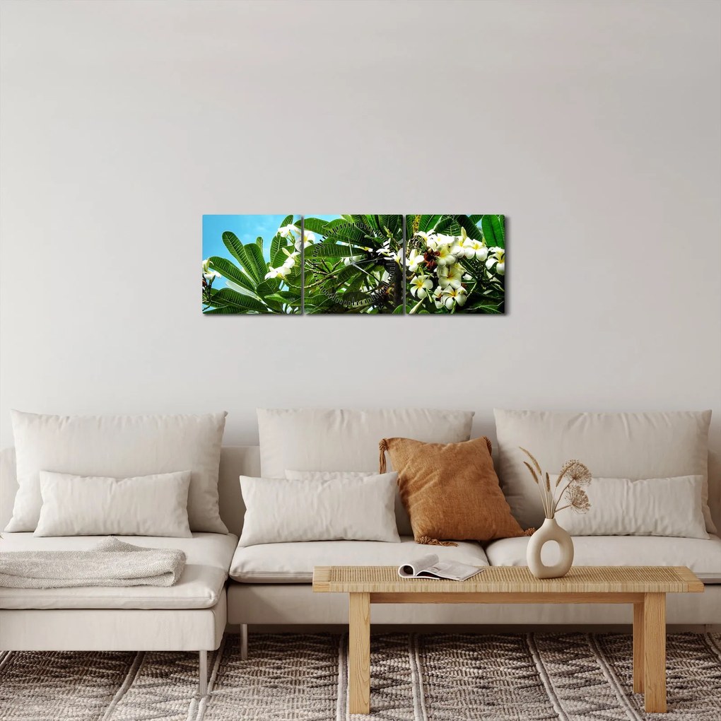 Obraz - Plumeria (s hodinami) (90x30 cm)