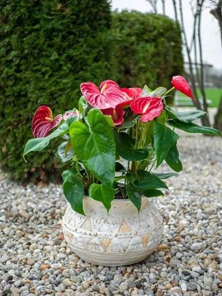 Keramický obal na kvetináč mozaika 36cm