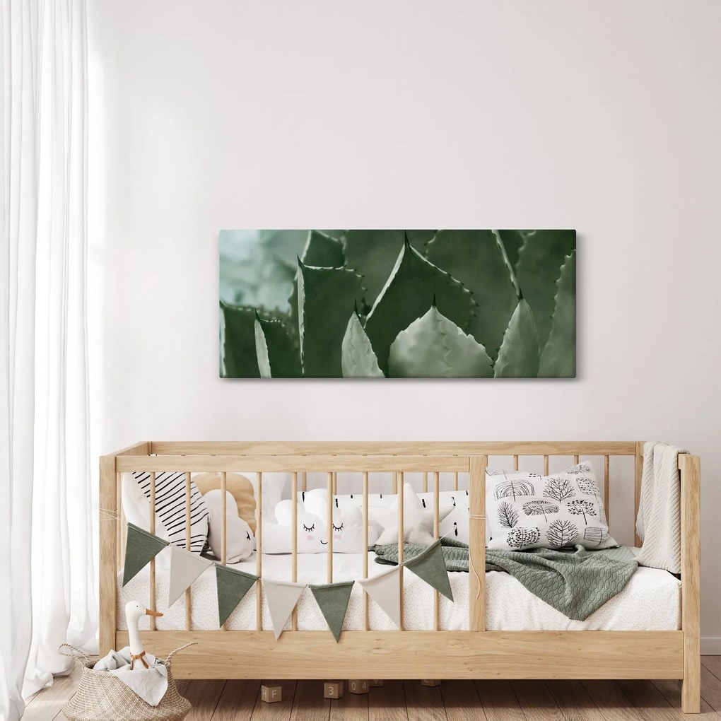 Obraz - Zelená agáve (120x50 cm)